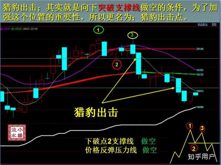 期货交易所的种类及其特点